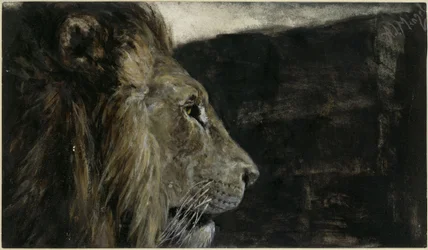 The Lion