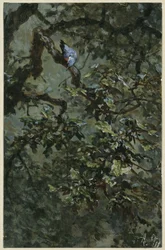 The blue woodpecker in the foliage. From the "Children