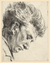 Profile of a Downward Looking Man