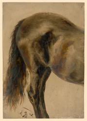 Rear of a horse in profile