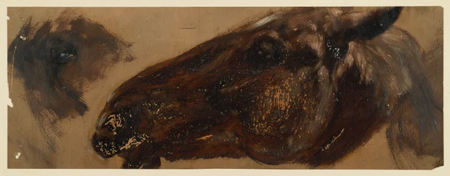 Head of a horse facing left, with the eye area repeated