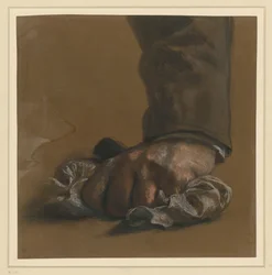 Male Hand and Sleeve Study. The Hand Grabs a Cloth