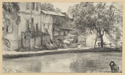 Back of a Row of Houses and Tree by the Water