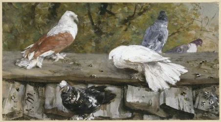 Pigeons on a Wooden Roof. From the “Children
