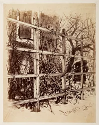 A trellis in front of a house, with a wig hanging in it, for Heinrich von Kleist