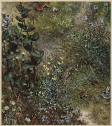 Forest Floor with the Lizard. From the "Children