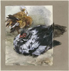 Two Turkish Ducks. From the "Children