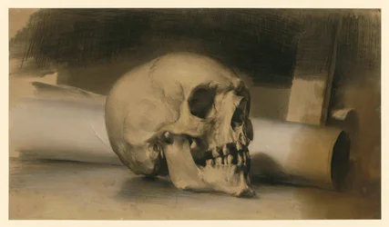Human Skull Facing Right, with a Roll of Paper Behind It