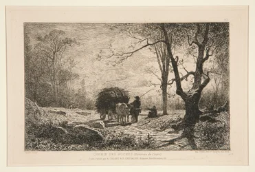 Rocky Path near Creys