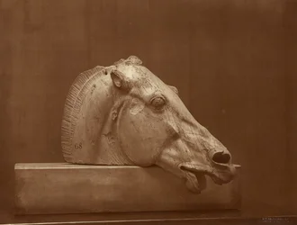 Head of a Horse from the Pediment of the Parthenon, British Museum