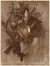 Pheasant and Grouse