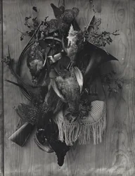 Trophy of the Hunt