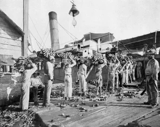 Loading bananas, Port Antonio, Jamaica, c1905