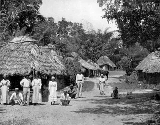 Native Huts, Jamaica, c1905