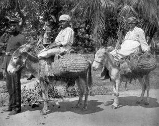 Off to the Jail, Jamaica, c1905