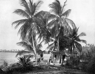 On the road to Blue Hole, Port Antonio, Jamaica
