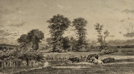 Horses Grazing