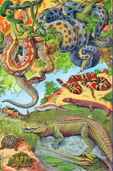 Illustration of Reptiles c.1923