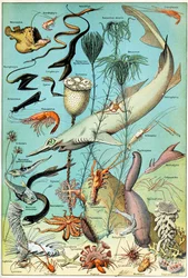 Illustration of a Deep Sea Underwater Scene c.1923