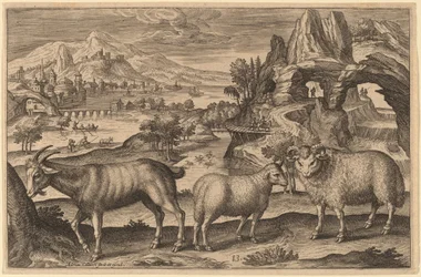 A Goat, a Ewe, and a Ram