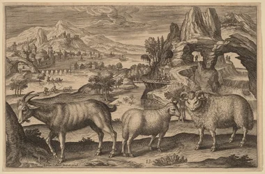 A Goat, a Ewe, and a Ram