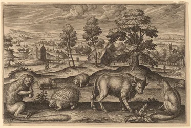 A Monkey, a Porcupine, Two Hedgehogs, a Buffalo and a Fox