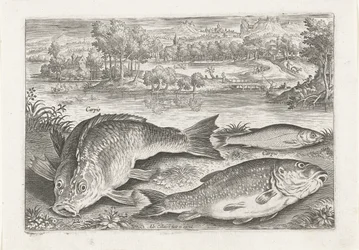 Three Carps on a Bank (Fishes)