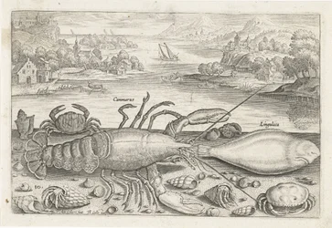 A Fish and Some Shellfish on the Beach