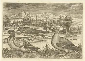 Several Birds in a Landscape