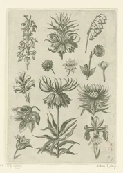 Crown Imperial, Orchid, and Lily of the Valley (series title)