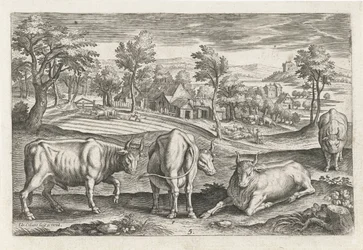 Cattle (Four-Legged Animals)