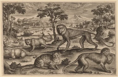 Three Cats and Two Monkeys