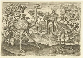Two Ratites in a Landscape