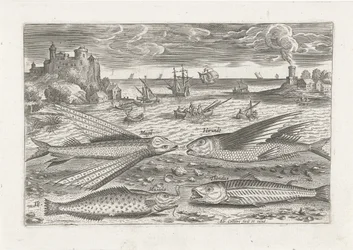Four Fish on the Beach