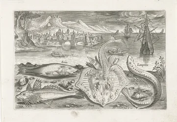 Four Fish on the Beach (series title) Piscivm vivae icones (series title)