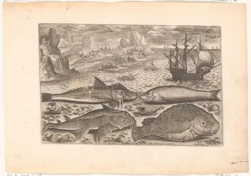 Four Fish on the Beach