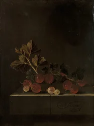 A Sprig of Gooseberries on a Stone Plinth