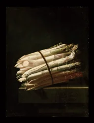 Still Life of Asparagus