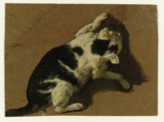 Cat Playing by a Wall