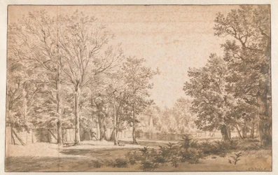Wooded Landscape