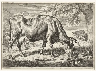 Grazing Cow and Two Sheep (Cows and Sheep)