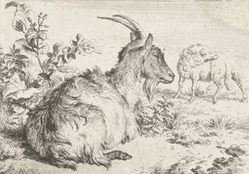 Lying Goat