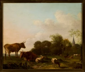 Pasture