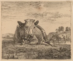 Recumbent Cow