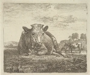 Recumbent Cow