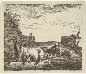 Recumbent Goats, from Different Animals