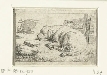 Sleeping Dog