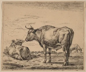 Standing Bull