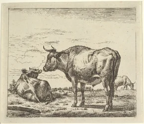 Standing Bull from Different Animals