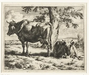 Two Cows Under a Tree